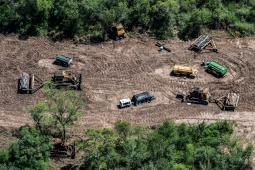 GPA Deforestación ilegal Santiago del Estero Diciembre 2021 (6).jpg