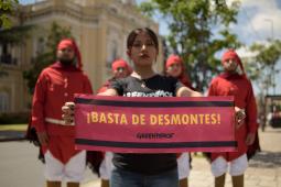 Ordenamiento Territorial Salta 06 © Leandro Herrera Greenpeace.jpg