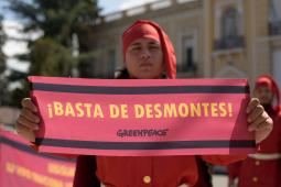 Ordenamiento Territorial Salta 08 © Leandro Herrera Greenpeace.jpg