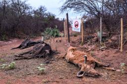 Pozo Petrolero L.O. X-10 en Salta 07 © Martin Katz  Greenpeace.jpg