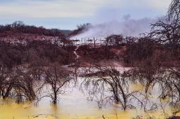 Pozo Petrolero L.O. X-10 en Salta 13 © Martin Katz  Greenpeace.jpg