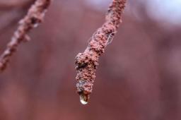 Pozo Petrolero L.O. X-10 en Salta 14 © Martin Katz  Greenpeace.jpg