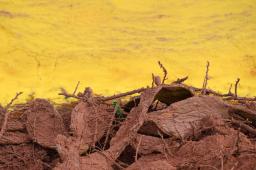 Pozo Petrolero L.O. X-10 en Salta 24 © Martin Katz  Greenpeace.jpg