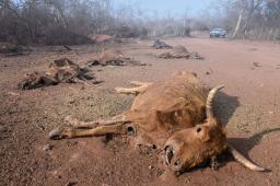 Pozo Petrolero L.O. X-10 en Salta 36 © Martin Katz  Greenpeace.jpg