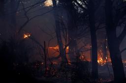 Incendio en Epuyen © Matias Garay Greenpeace.jpg