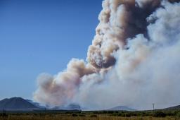 Incendios en  PN Lanin © Federico Soto Greenpeace.jpg